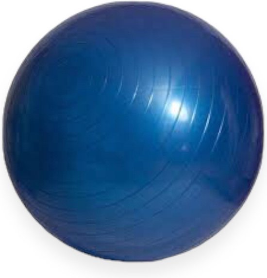 Padisport - Yoga bal - 55 cm - zwangerschapsbal - yoga bal inclusief pomp - fitnessbal - pilates bal - yoga bal blauw - yoga bal 55 cm - yoga - fitness - blauw van Padisport — afbeelding 2