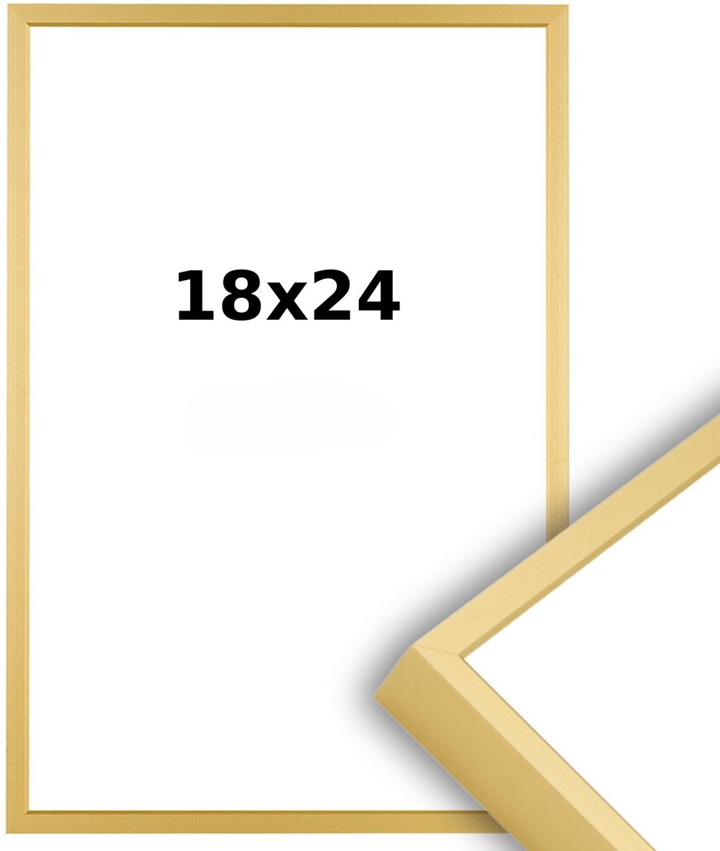 Lichtendonk Aluminium Wissellijst 18 x 24 Mat Champagne Goud - Ontspiegeld Glas - Professional