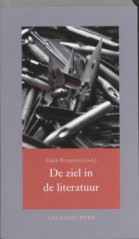 9789056252960 - De Ziel In De Literatuur