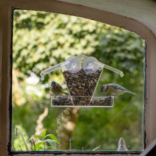 Transparant raamvoederhuisje, aan een raam, met twee vogels, een koolmees en een pimpelmees, die eten.