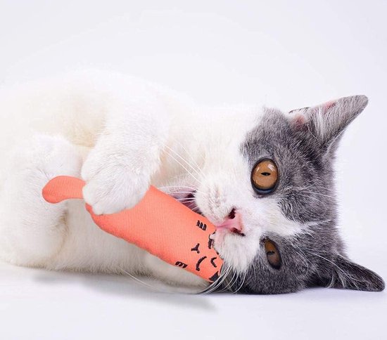 Aibuddy Kattenkruid speelgoed, 3 stuks kat kauwspeelgoed, bijtbestendig