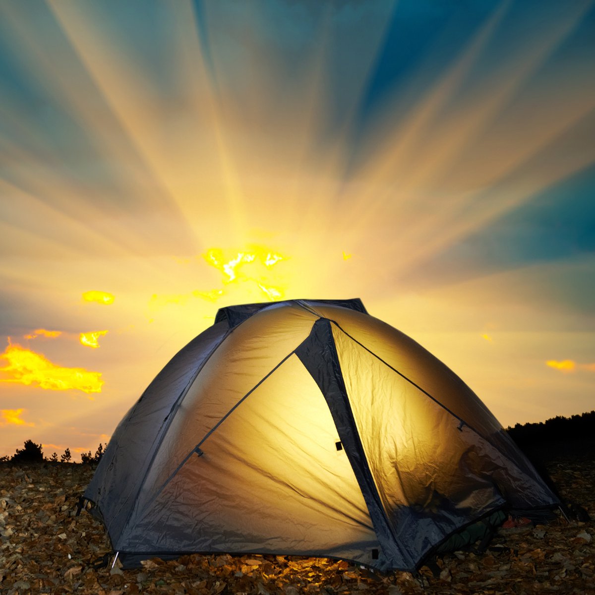 HIXA Tent - 1 Persoons - festivaltent - Blauw - Glow In The Dark - 200x120x100 cm - Polyester – foto 3