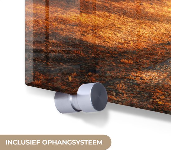 MuchoWow® Peinture sur verre 150x100 cm - Peinture sur verre acrylique - Forêt - Automne - Arbres - Chemin forestier - Nature - Photo sur verre - Décoration murale salon - Décoration murale chambre - Peintures