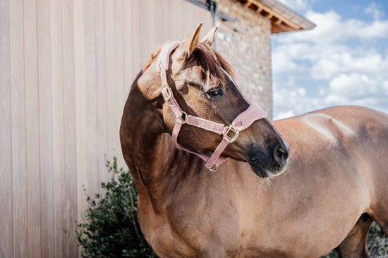 Kentucky Horsewear - Teddy fleece halster oud roze Pony Kentucky Horsewear - Teddy fleece halster oud roze Pony