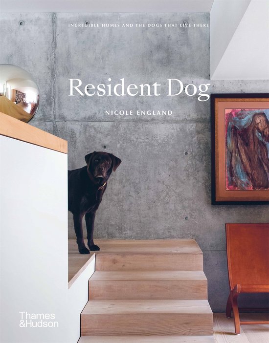 Resident Dog - cover