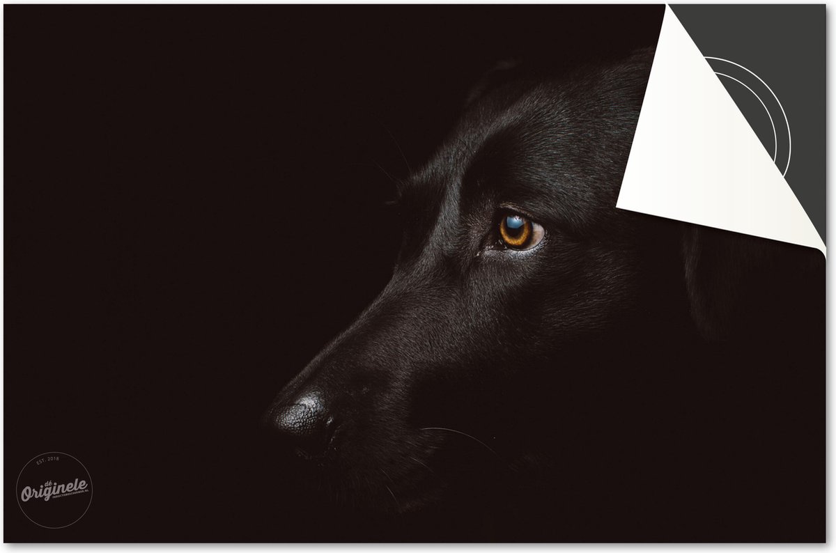 Inductie beschermer 83x51,5 - afdekplaat inductie mat - Dietrix Kookplaat beschermer - DELUXE - Dieren Hond Zwart