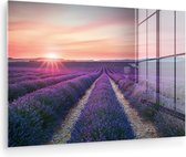 MuchoWow® Glasschilderij 180x120 cm - Schilderij acrylglas - Lavendel - Paars - Bloemen - Foto op glas - Muurdecoratie woonkamer - Wanddecoratie slaapkamer - Schilderijen