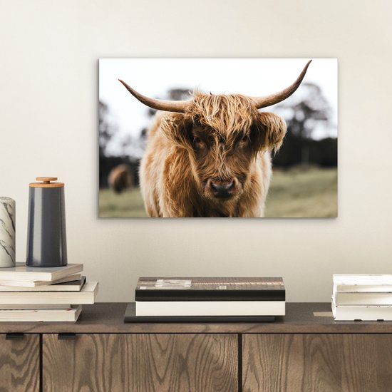 Aluminium schilderij 30x20 cm - Wanddecoratie metaal - Schotse Hooglander - Koe - Gras - Dieren - Natuur - Metalen muurdecoratie woonkamer - Decoratie industrieel - Foto op dibond - Industriële accessoires slaapkamer