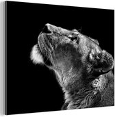 Décoration murale Métal - Peinture Aluminium Industriel - Lion - Animaux - Zwart et blanc - 160x120 cm - Dibond - Photo sur aluminium - Décoration murale industrielle - Pour le salon/chambre