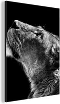 Tableau aluminium 120x160 cm - Décoration murale métal - Lion - Animaux - Zwart et blanc - Décoration murale métal salon - Décoration industrielle - Photo sur dibond - Accessoires industriels chambre