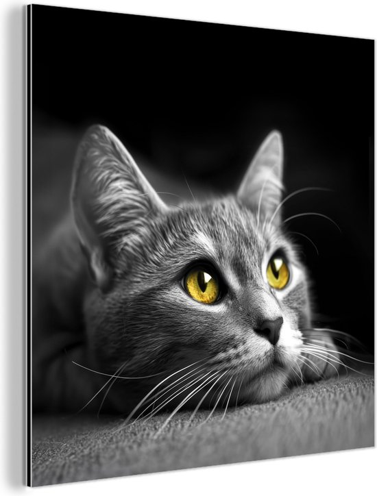 Aluminium schilderij 20x20 cm - Wanddecoratie metaal - Kat - Zwart - Wit - Dieren - Natuur - Metalen muurdecoratie woonkamer - Decoratie industrieel - Foto op dibond - Industriële accessoires slaapkamer