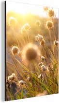 Tableau aluminium 90x120 cm - Décoration murale métal - Plantes - Nature - Fleurs - Soleil - Horizon - Décoration murale métal salon - Décoration industrielle - Photo sur dibond - Accessoires industriels chambre