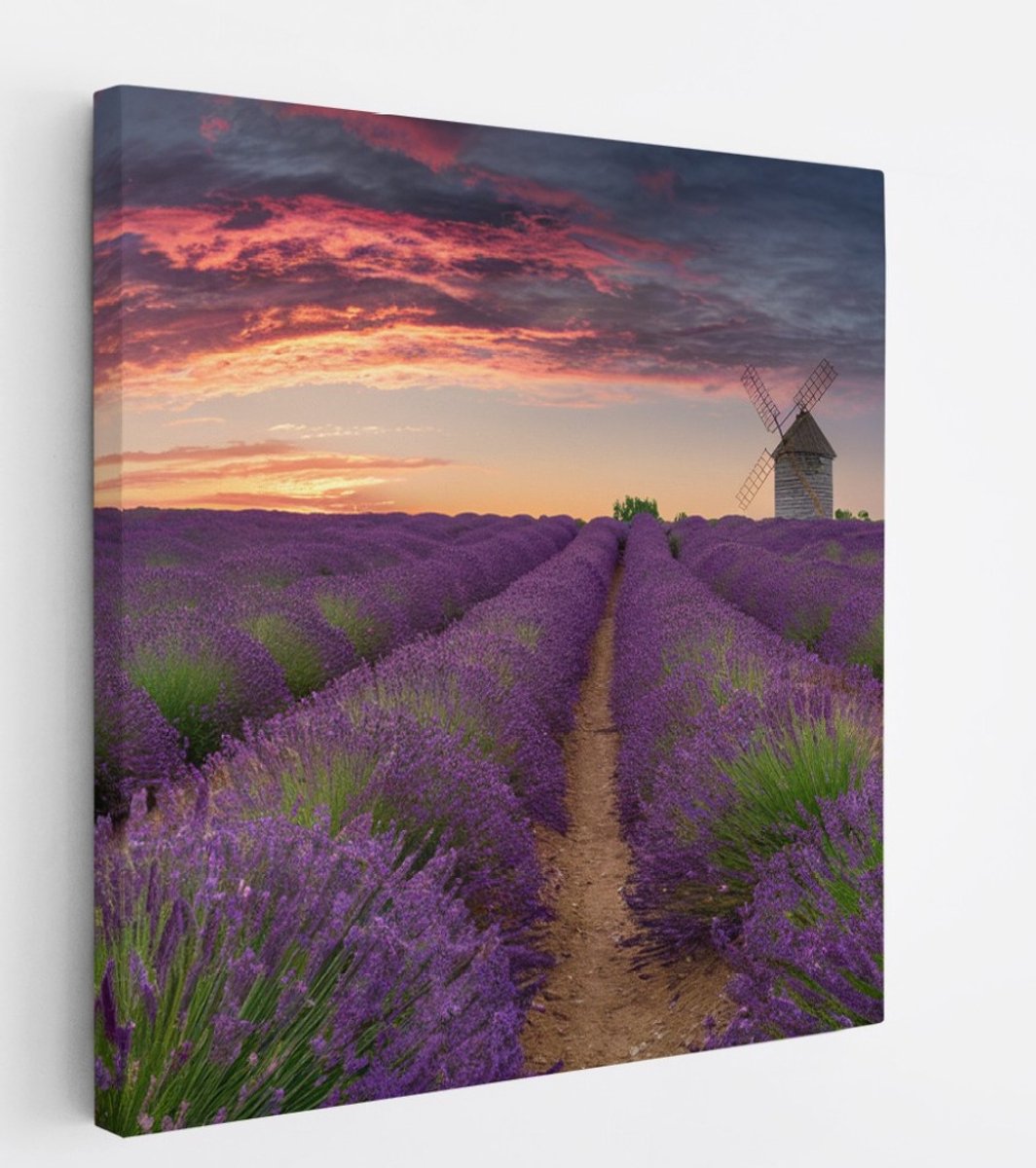Saammp Canvas Schilderij - Lavendel met mooie lucht en een molen - Natuur - Landschap - 30x30 - Foto op canvas - Wanddecoratie - Muurdecoratie Woonkamer - Slaapkamer decoratie - Canvas Print Multicolor