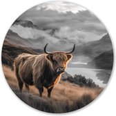 Graphic Message - Wandcirkel Schotse Hooglander - Grijs Bruin - Landschap - Wooncirkel - Muurcirkel Schotland - Koe - Stier - Wanddecoratie Woonkamer