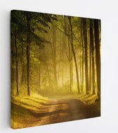 40 cm x 40 cm