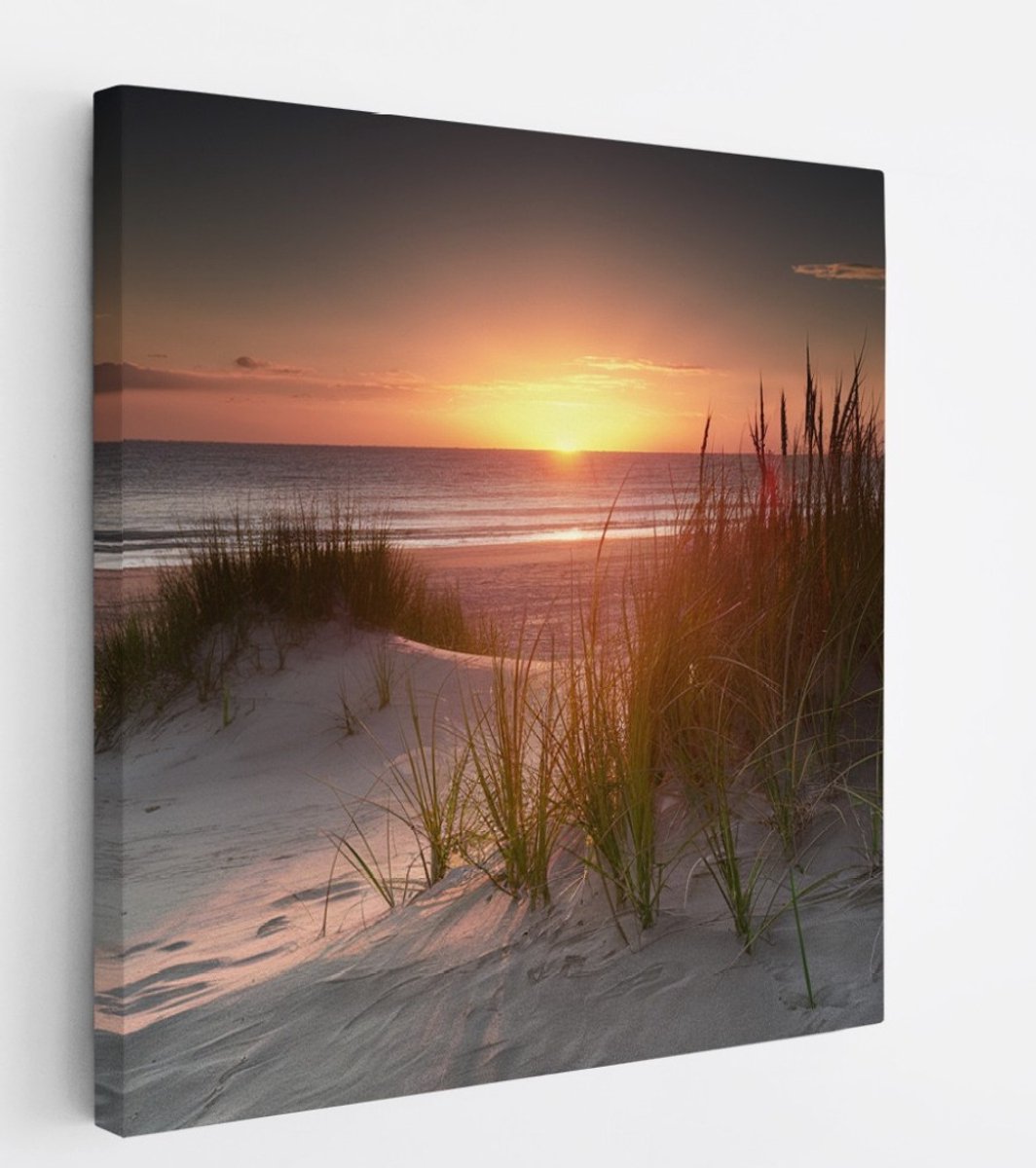 Saammp Canvas Schilderij - Zonsondergang - hoog gras - Strand en Zee - Duinen - 60x60 - Foto op canvas - Wanddecoratie - muurdecoratie Woonkamer - Slaapkamer decoratie - Canvas Print Multicolor