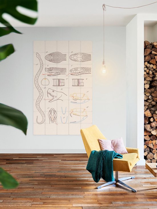 IXXI Serpent - Anatomie, Aster Edition - 100 x 140 cm - Gratis ophangtool - Grote wanddecoratie en posters - Technische Tekening, Illustraties, Line