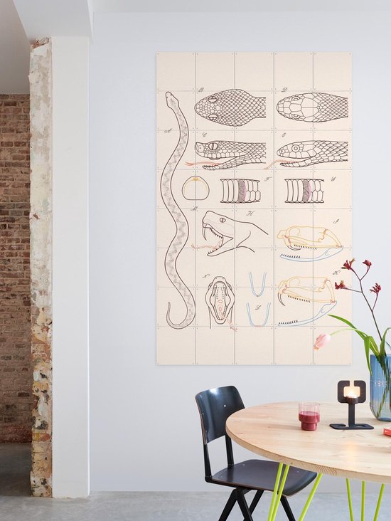 IXXI Serpent - Anatomie, Aster Edition - 100 x 140 cm - Gratis ophangtool - Grote wanddecoratie en posters - Technische Tekening, Illustraties, Line