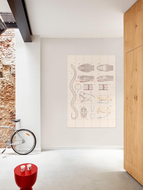 IXXI Serpent - Anatomie, Aster Edition - 100 x 140 cm - Gratis ophangtool - Grote wanddecoratie en posters - Technische Tekening, Illustraties, Line