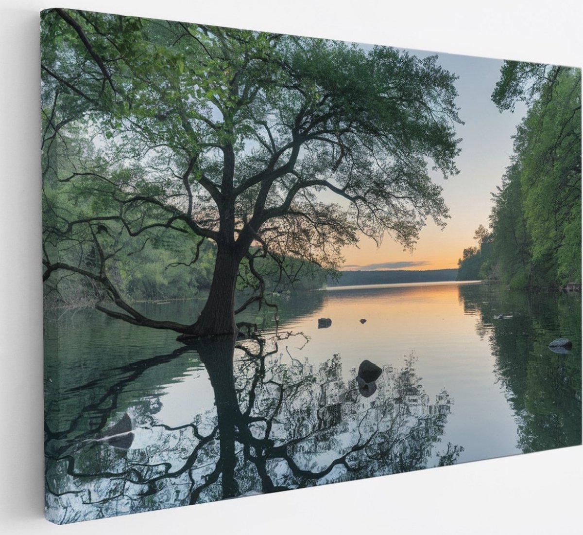 Saammp Canvas Schilderij - Boom in het water met zonsondergang - Landschap - Natuur - 30x20 - Foto op canvas - Wanddecoratie - Muurdecoratie Woonkamer - Slaapkamer decoratie - Canvas Print Multicolor
