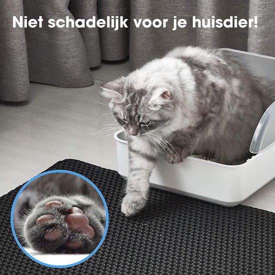 Un chat gris sort d'une litière blanche sur un tapis noir. Un détail agrandi montre les pattes du chat.
