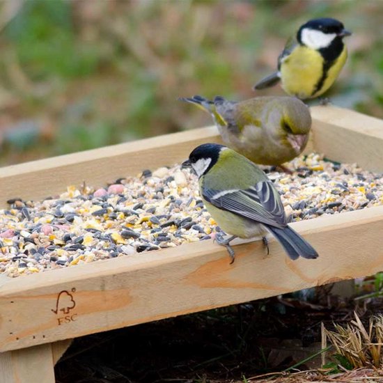 Drie vogels (pimpelmees en groenling) eten uit een houten voederplank vol met vogelvoer.