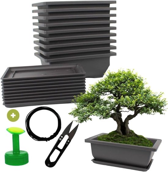 Bonsai pot rechthoek groen glazuur 16cm – Bonsai winkel Bonsai pot rechthoek groen glazuur 16cm – Bonsai winkel