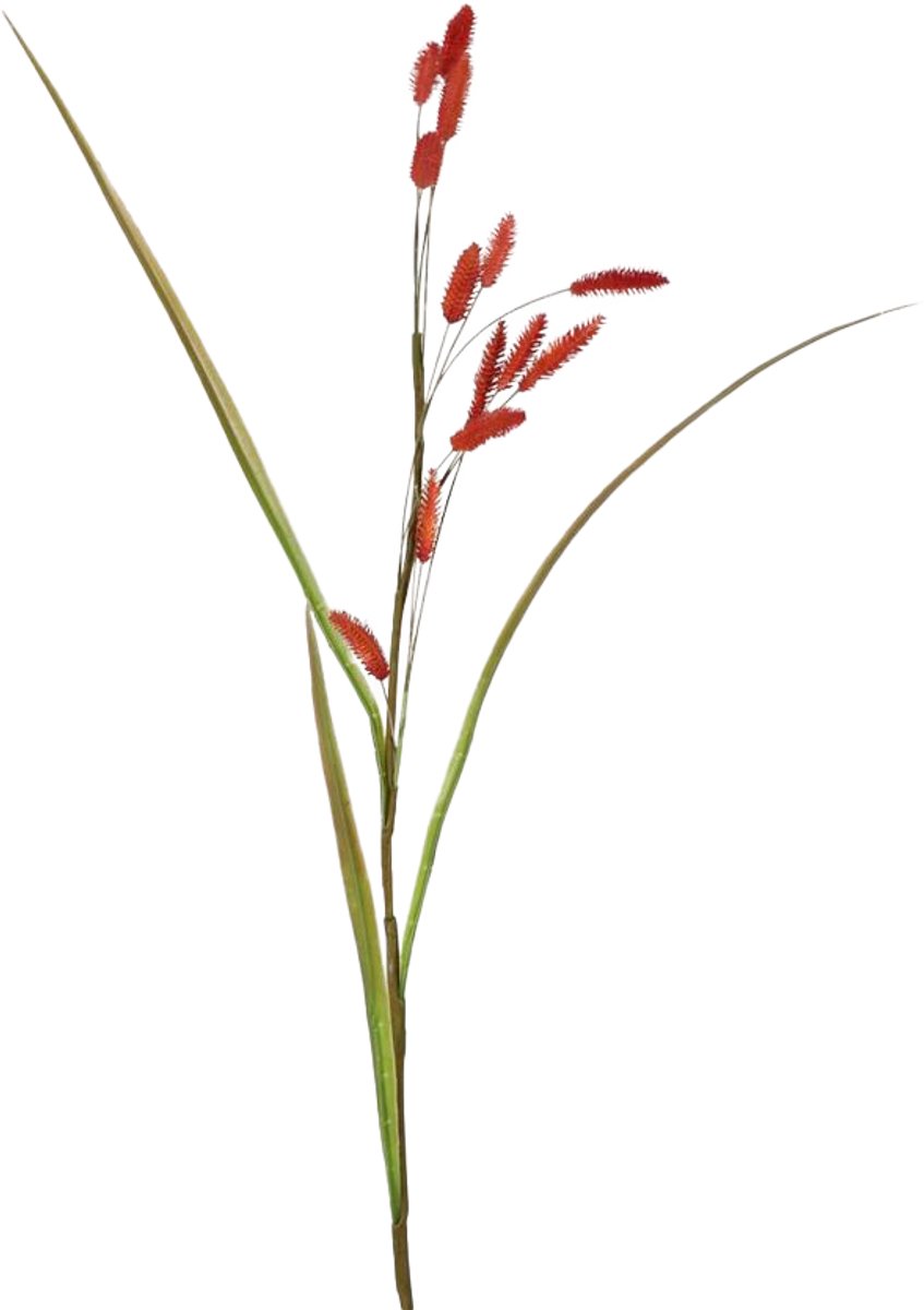 Viv! Home Luxuries Bunny Tails - gras - zijden bloem - rood - hazenstaartje - 114cm