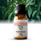 Flesje eucalyptus olie tussen eucalyptustakken met bladeren.