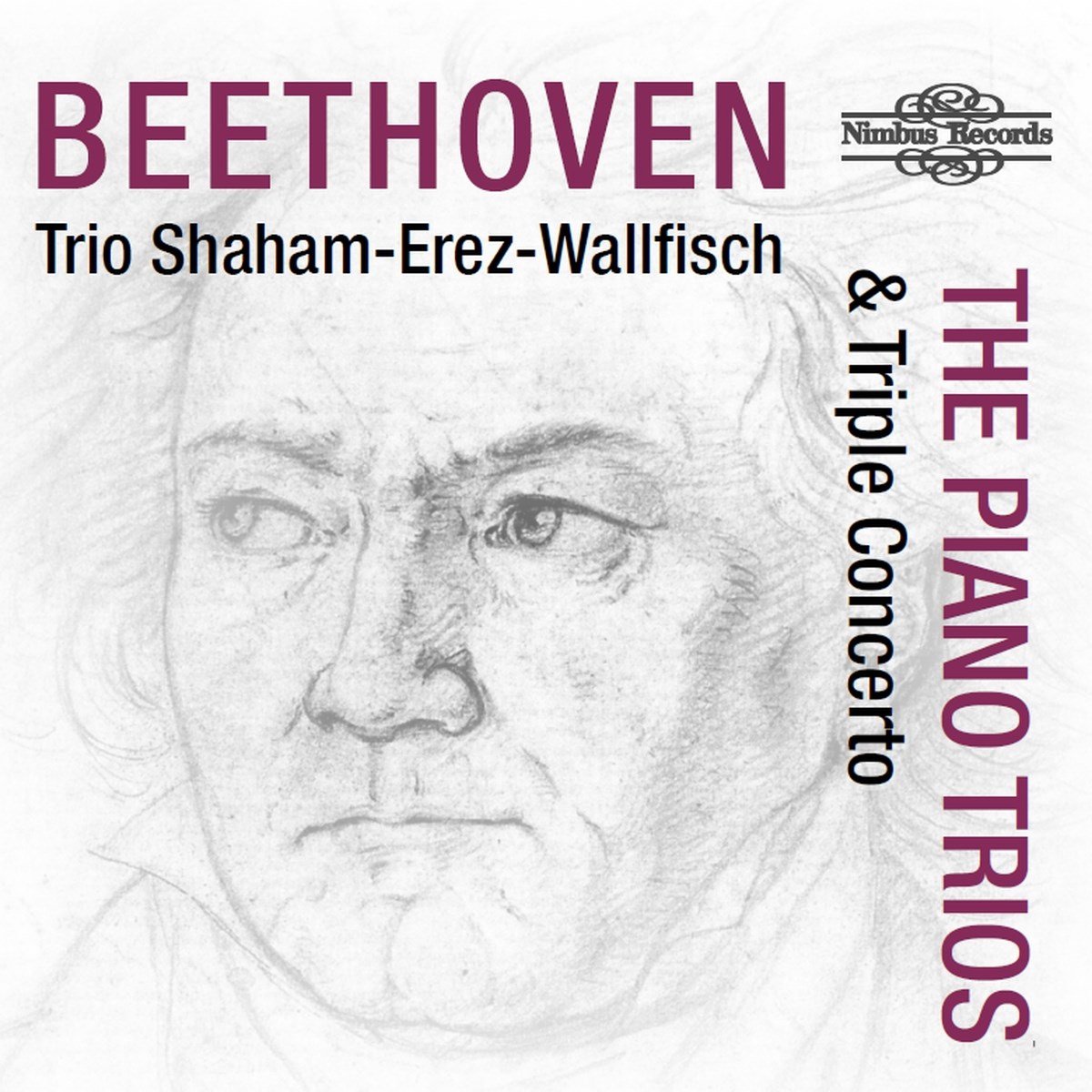 Trio Shaham-Erez-Wallfisch - Beethoven: The Piano Trios & Triple Concerto (4 CD)