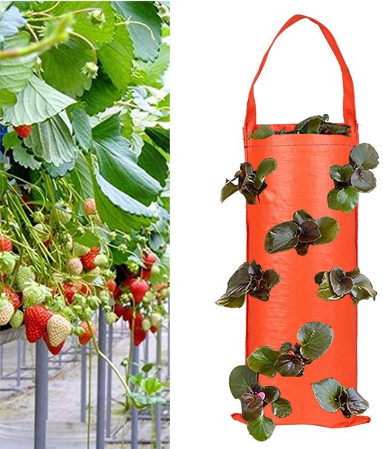 XVZ Plantzak, 6 stuks, 60 liter, vliesstof, plantenzakken voor tomaten XVZ Plantzak, 6 stuks, 60 liter, vliesstof, plantenzakken voor tomaten