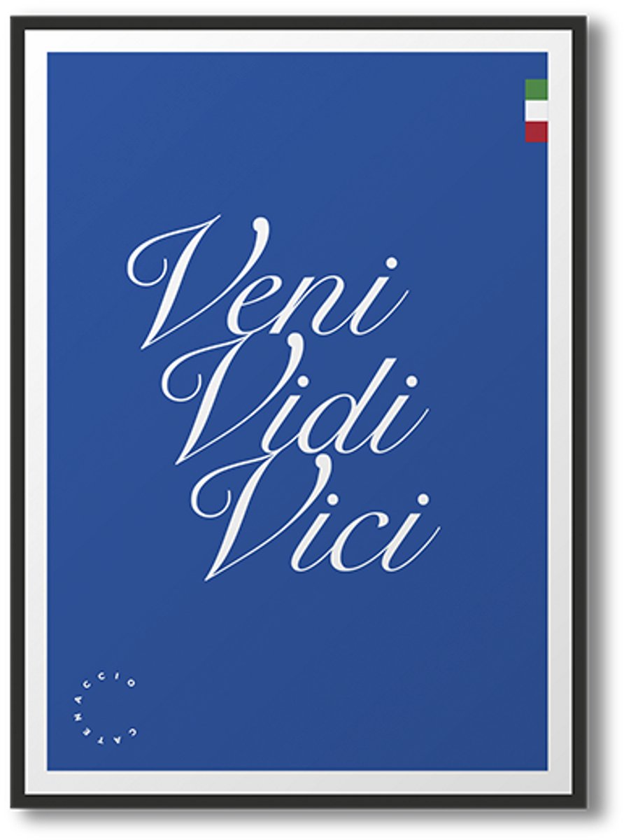 Veni Vidi Vici poster