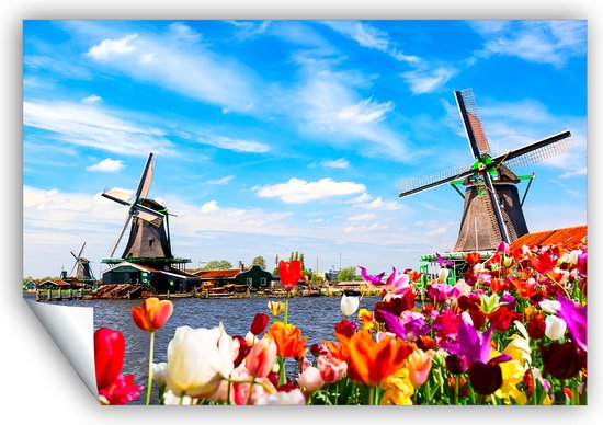 Olijfgroen kunst aan de muur - Nederland