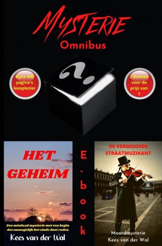 Het Geheim - De Vermoorde Straatmuzikant - cover