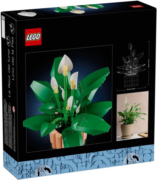 LEGO Botanicals plant à cuillère - Ensemble de Construction Décoration Fleurs pour Adultes - 11504