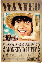 Poster One Piece - wanted monkey d. Luffy - 91,5 x 61 - Papier - REINDERS