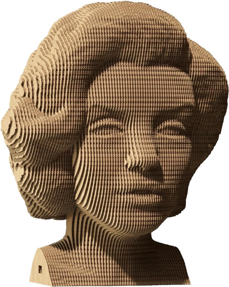 Gedetailleerde 3D Puzzel van Karton, Eenvoudig te Monteren