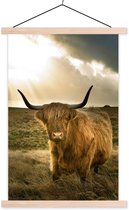 Porte-affiche avec affiche - Affiche scolaire - Highlander écossais - Soleil - Animaux - 120x180 cm - Lattes vierges