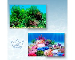 AquaKonings Aquarium Poster – Waterdicht - Decoratie Vis Poster - Aquarium Decoratie - Aquarium Wand - 150x40 cm - R