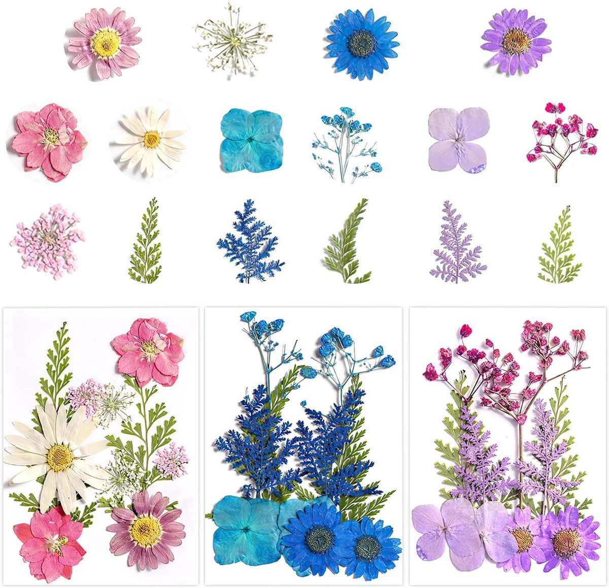 VVGoods - Gedroogde echte bloemen voor epoxyhars, kaarsen, nagels en scrapbook-kaarten - Set van 30 stuks