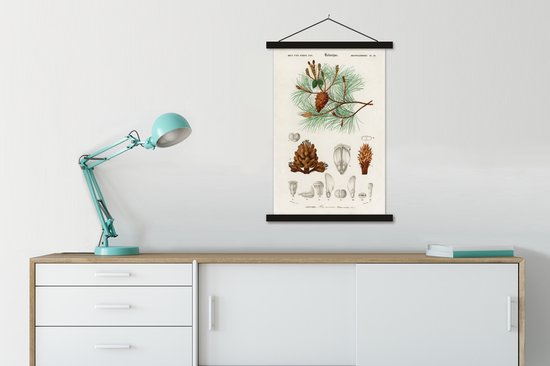 Planche scolaire botanique dans des lattes noires, accrochée au mur blanc au-dessus d'un buffet avec une lampe turquoise.