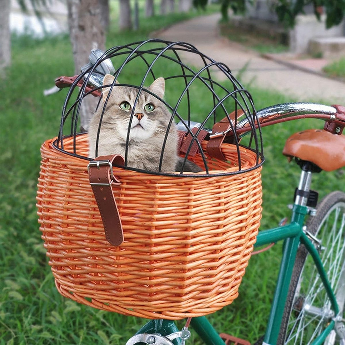 Fietsmand voor huisdieren - Rieten fietsmand voor kleine honden en katten - Voormand met draadgaas voor fietsen