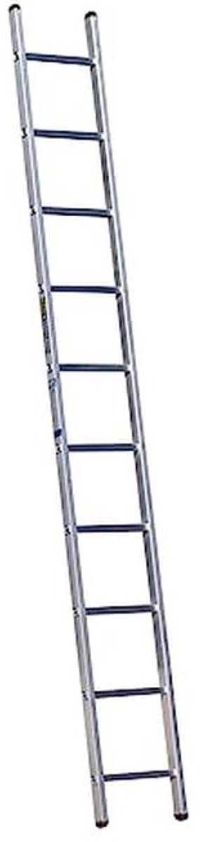2,9 m Enkele Sectie Ladder voor Professioneel Gebruik