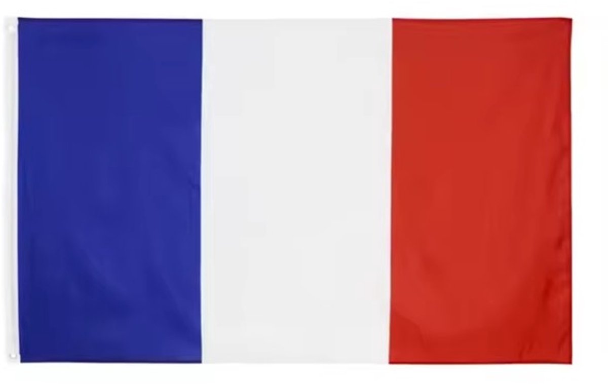 Go Go Gadget - Franse vlag - 90x150cm - Frankrijk