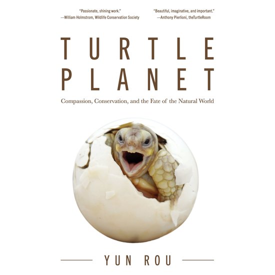 Turtle Planet - cover