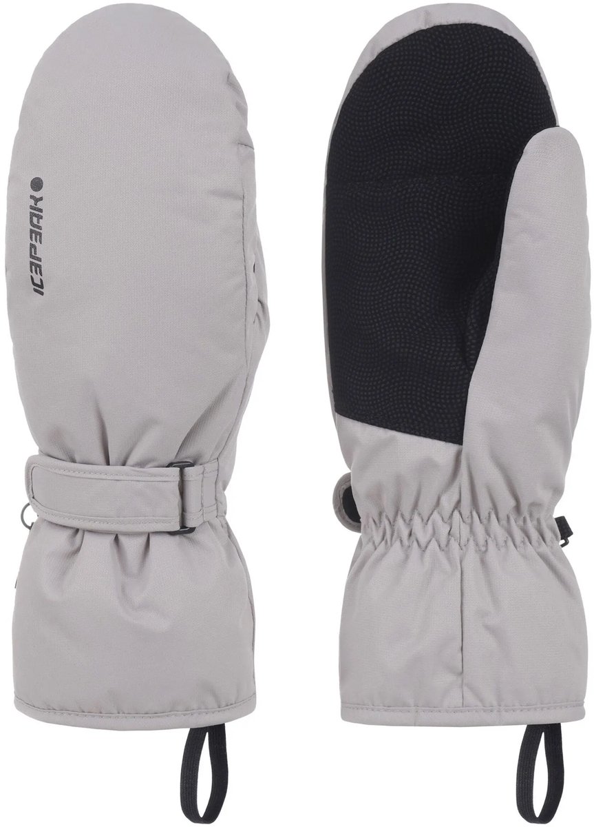 Icepeak Haysburg Skiwanten Senior Grijs