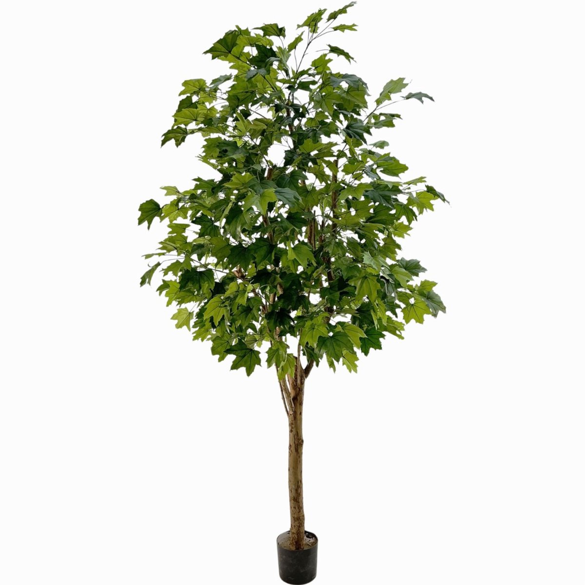 maxifleur Kunstplanten Maple Kunstboom deluxe 250cm op stam Groen