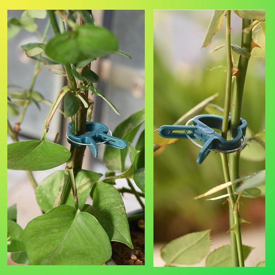 GmwyCzV 40 stuks plantenclips, 62 x 45 mm grote clip voor planten, zelfklevende klimplanten, fixing clip, donkergroen, herbruikbaar, plantenstandaard, voor tuinieren en groenten