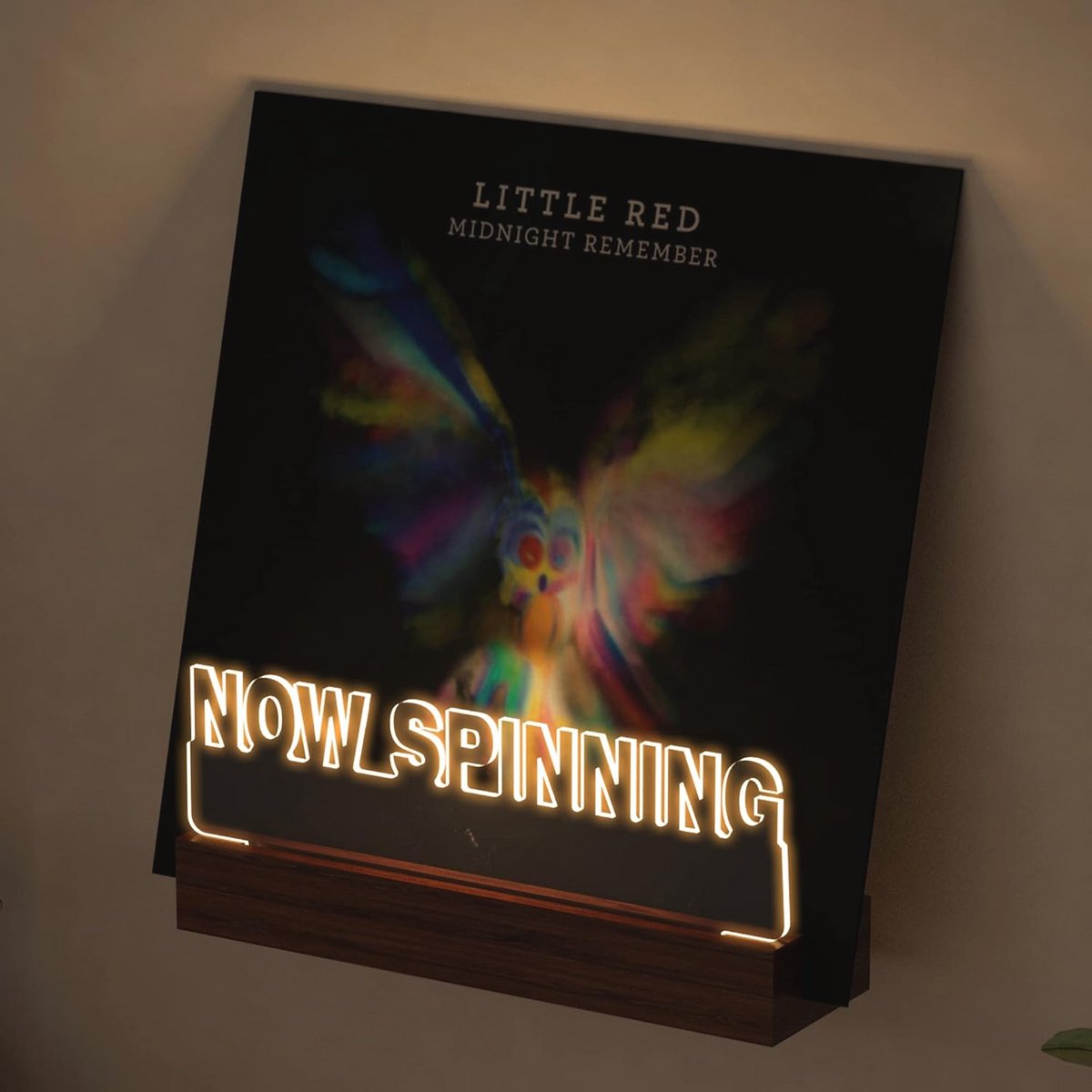 Vinyl Record Stand with Light - Wall Mount for Display and Storage