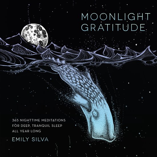 Daily Gratitude- Moonlight Gratitude - cover